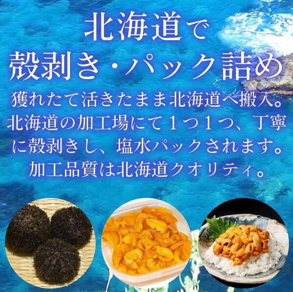 塩水うに 【札幌場外市場】 【100g × 3個セット】 バフンウニ 北方四島産 (ロシア産) 【丸市岡田商店】 - 画像 (4)