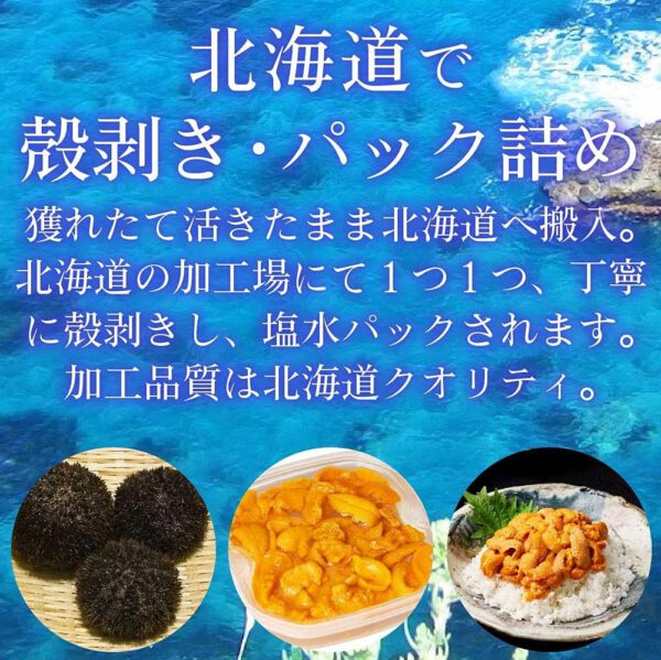 塩水うに 【札幌場外市場】 【100g × 3個セット】 バフンウニ 北方四島産 (ロシア産) 【丸市岡田商店】 - 画像 (4)