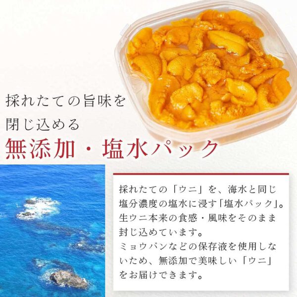 塩水うに 【札幌場外市場】 【100g × 3個セット】 バフンウニ 北方四島産 (ロシア産) 【丸市岡田商店】 - 画像 (5)