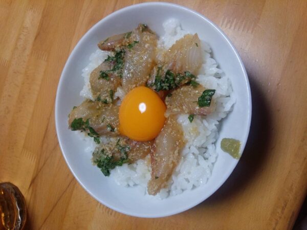 みかん鯛 真鯛 1.8-2.2kg 下処理済み 愛媛県産 刺身 煮魚 焼魚 しゃぶしゃぶ 宇和海の幸問屋 - 画像 (8)