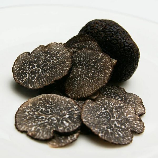 ヒマラヤ産 黒トリュフ フレッシュ 冷蔵 約500g