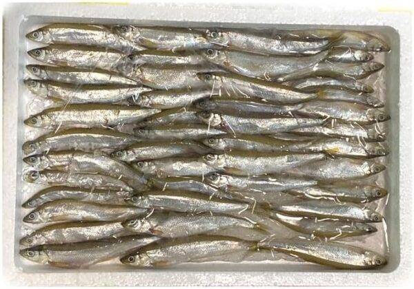 北海道産 生ワカサギ 500g 冷蔵 - 画像 (3)