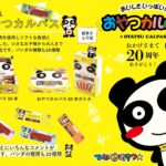 ヤガイ おやつカルパス 3.4グラム (x 50) - 画像 (5)