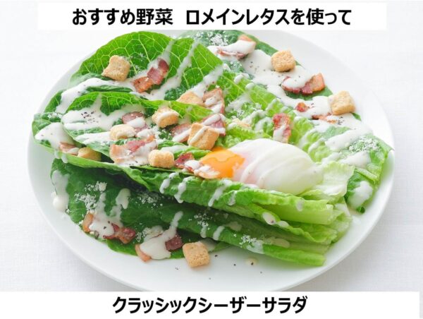 キユーピー シーザーサラダドレッシング 1L - 画像 (3)