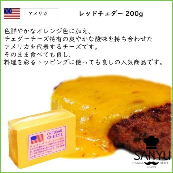 アメリカ産 レッドチェダーチーズ 200gカット - 画像 (3)