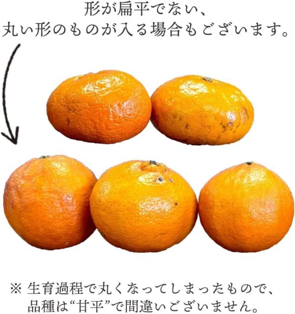 愛媛県産 甘平みかん 1kg入り 4玉前後 - 画像 (4)
