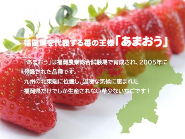 いちご あまおう デラックス DX 大粒 7~11粒 300g×2パック 福岡県産 苺 イチゴ - 画像 (4)