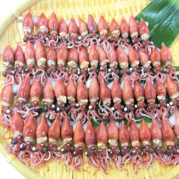 ホタルイカ 春の新物 釜揚げ 蛍烏賊 ボイルホタルイカ 富山湾産350g 冷凍・釜揚ホタルイカ・ (1パック 350 g) - 画像 (7)
