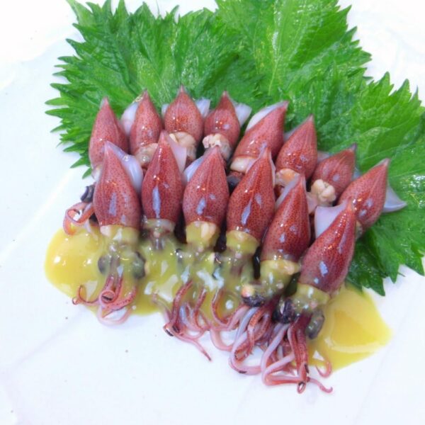 ホタルイカ 春の新物 釜揚げ 蛍烏賊 ボイルホタルイカ 富山湾産350g 冷凍・釜揚ホタルイカ・ (1パック 350 g) - 画像 (8)