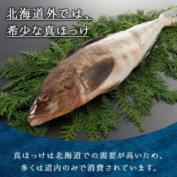 北海道函館産 真ホッケ 約500g 内臓ウロコ処理済み - 画像 (2)