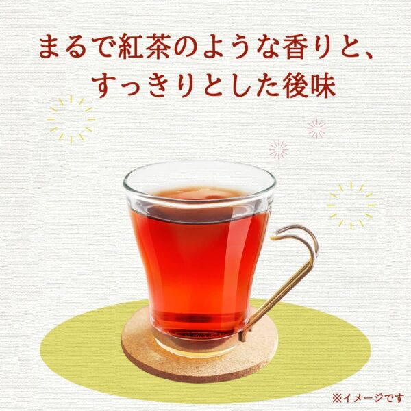 伊藤園 ヘルシールイボスティー 500ml×24本 - 画像 (2)