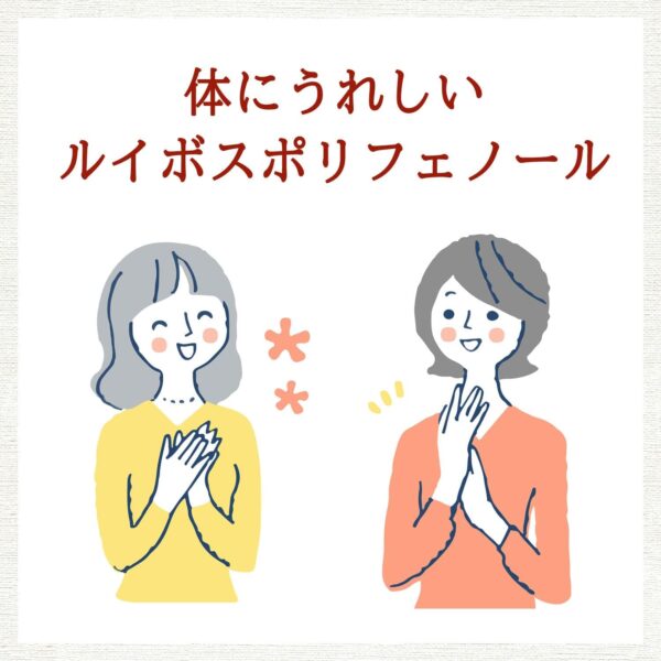 伊藤園 ヘルシールイボスティー 500ml×24本 - 画像 (4)