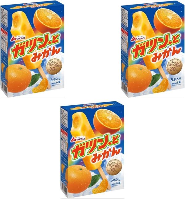 赤城乳業 ガツンと みかん5本入 3箱 アイス 冷凍