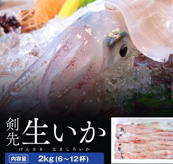 岩手県大船渡産 生ケンサキイカ 生剣先イカ 約2kg(6杯~12杯)冷蔵
