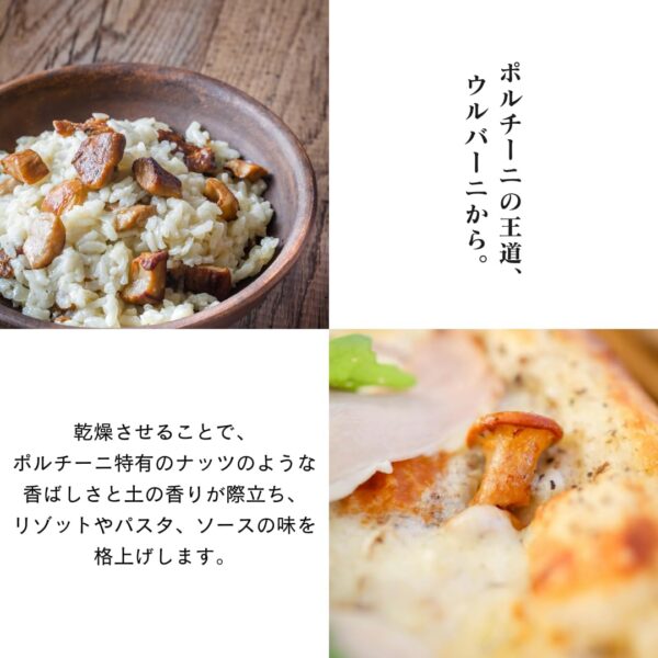 【冷凍】ウルバーニ ポルチーニホール(1kg×1パック)加熱調理 - 画像 (7)