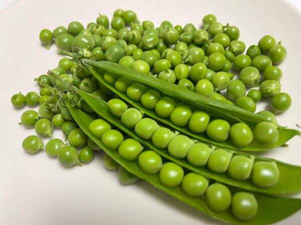 イタリア産 ピゼリ イタリア産グリーンピース 約500g