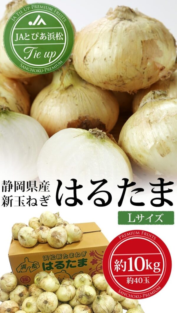 新玉ねぎ はるたま 約10kg Lサイズ 約40玉 JAとぴあ浜松 静岡県産 タマネギ - 画像 (2)