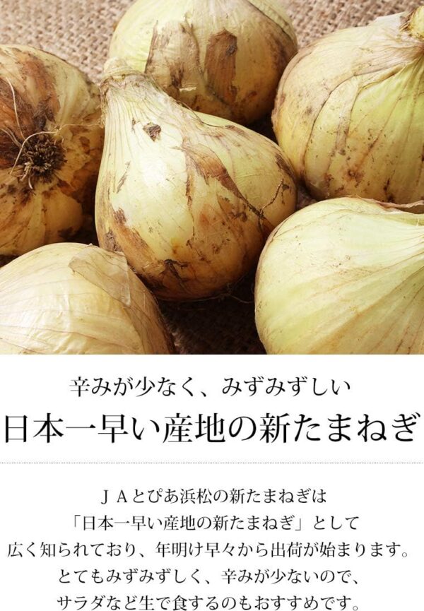 新玉ねぎ はるたま 約10kg Lサイズ 約40玉 JAとぴあ浜松 静岡県産 タマネギ - 画像 (6)