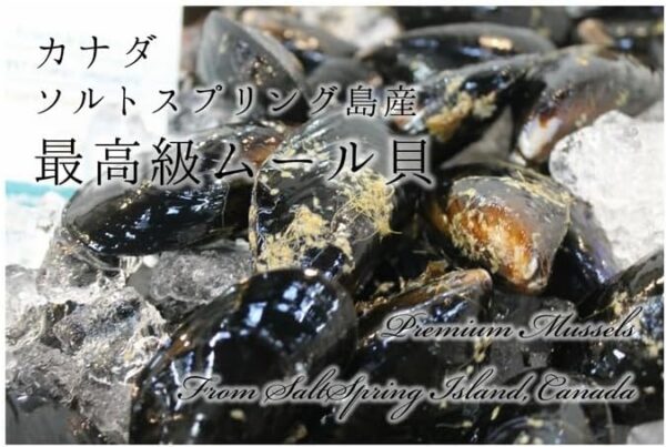活ムール貝 生 最高級 カナダソルトスプリング島産 約1.8g カナダ産ムール貝約1.8kg 冷蔵 - 画像 (3)
