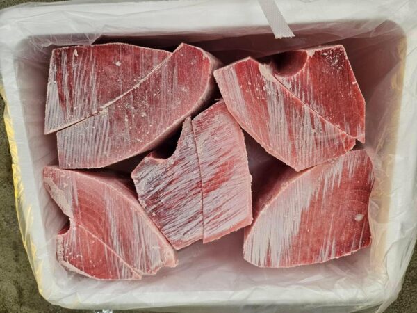 三崎港産直送 天然メバチマグロ トロ 中トロブロック サク 冷凍 訳あり 不揃い (約1kg) - 画像 (2)