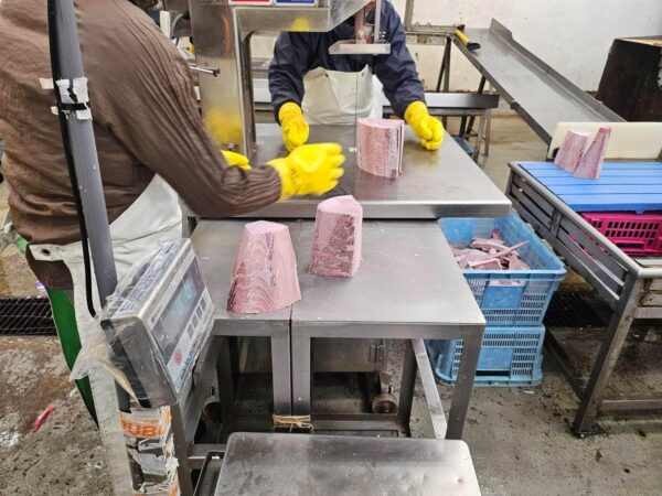 三崎港産直送 天然メバチマグロ トロ 中トロブロック サク 冷凍 訳あり 不揃い (約1kg) - 画像 (7)