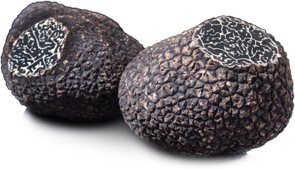 黒トリュフ 冬トリュフ エクストラ 【50g】  【冷蔵品】【季節限定】