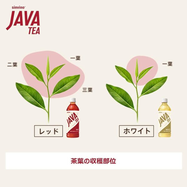 シンビーノ ジャワティストレート レッド 500ml PET×48本 - 画像 (3)