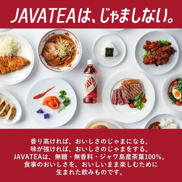 シンビーノ ジャワティストレート レッド 500ml PET×48本 - 画像 (7)