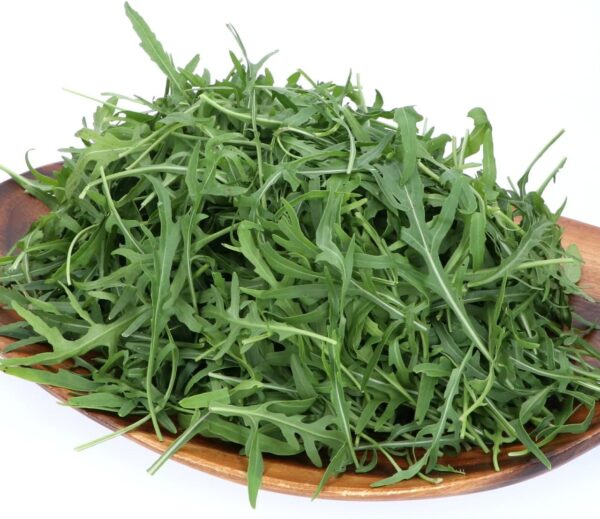 国産 ルッコラ セルヴァティカ 約500g