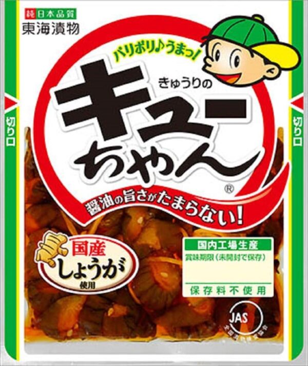 東海漬物 きゅうりのキューちゃん100g×10個