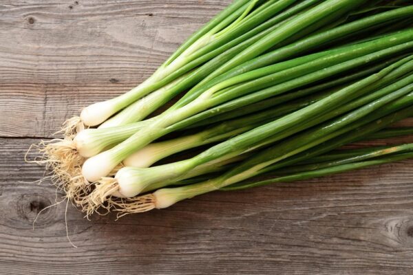 イタリア産 チポロッティ チポロット 葉たまねぎ 旬野菜 約500g