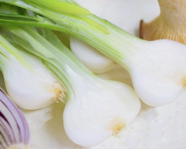 イタリア産 チポロッティ チポロット 葉たまねぎ 旬野菜 約500g - 画像 (2)