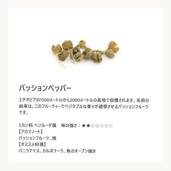 Terre Exotique (テール・エグゾティック) パッションペッパー スパイス 胡椒 25g - 画像 (2)