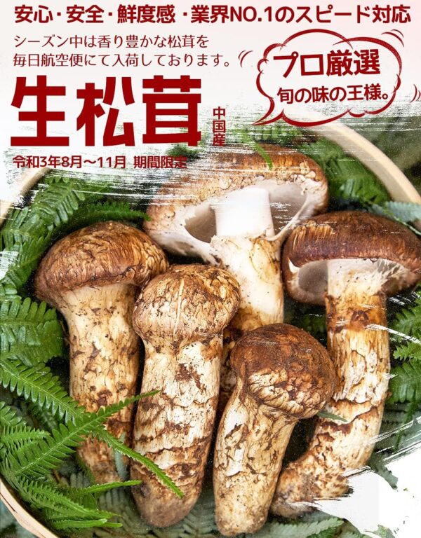 生松茸 開き HBサイズ【22本前後 長さ8cm前後】約1kg 中国雲南省産 厳選つぼみ天然生鮮マツタケ 期間限定 - 画像 (2)