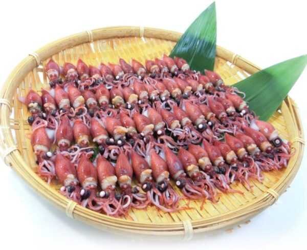 ホタルイカ 春の新物 蛍烏賊 ボイルホタルイカ 富山湾産約300g 冷蔵 釜揚ホタルイカ (1パック約300g) - 画像 (2)
