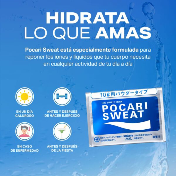 大塚製薬 ポカリスエット パウダー (740g)10L用×1袋 - 画像 (2)