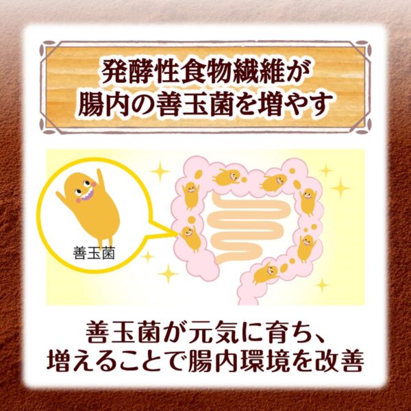 ケロッグ オールブラン ブランチョコフレーク 機能性表示食品 390グラム (x 2) - 画像 (5)