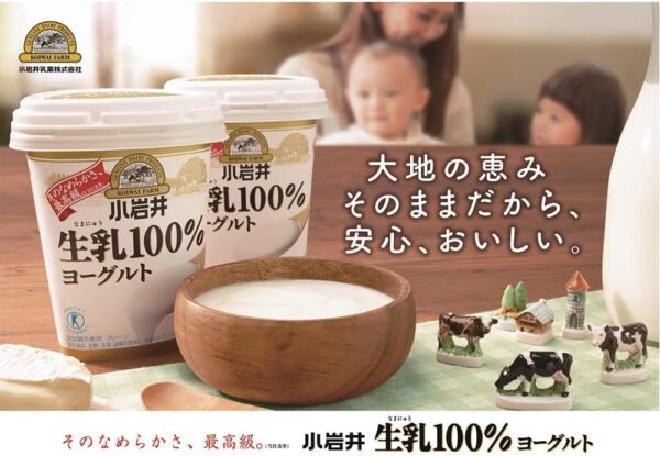 小岩井 生乳100%ヨーグルト400g 6個セット - 画像 (4)