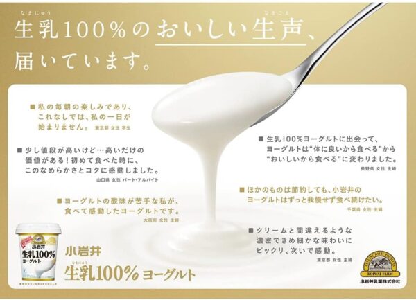 小岩井 生乳100%ヨーグルト400g 6個セット - 画像 (5)
