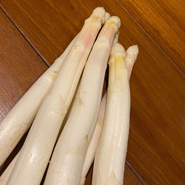 ホワイトアスパラガス フレッシュ (フランス産またはイタリア産) 約1kg - 画像 (4)