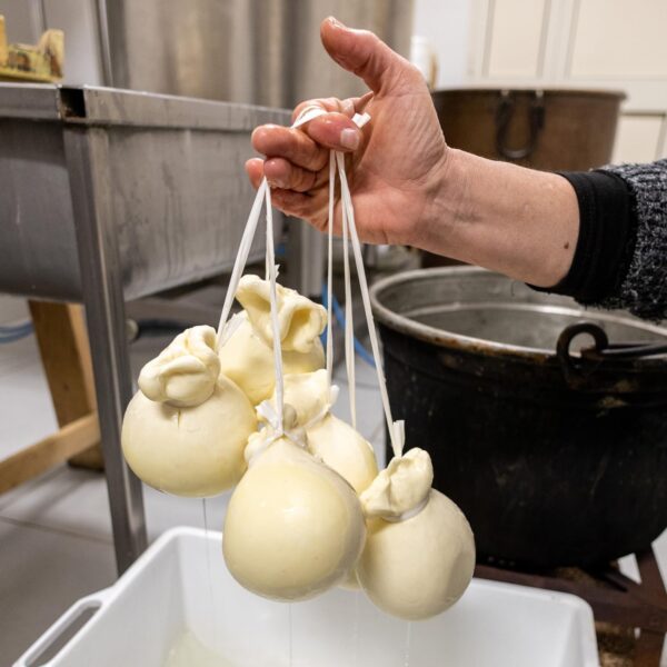 フレッシュチーズ スカモルツァ ビアンコ 約300g イタリア産 - 画像 (2)