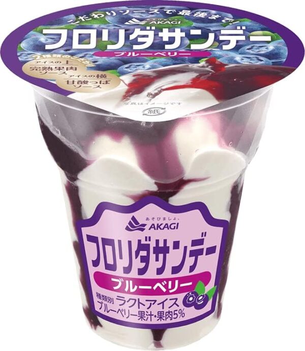 赤城乳業 フロリダサンデーブルーベリー・ストロベリー各210ml×6個 計12個入 - 画像 (2)
