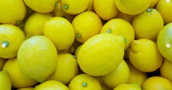 三宅島産 フレッシュレモン 約500g