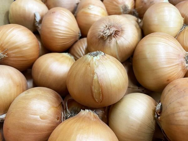徳島県産 ペコロス 玉ねぎ 約500g