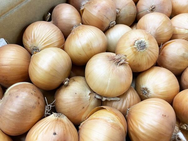 徳島県産 ペコロス 玉ねぎ 約500g - 画像 (2)