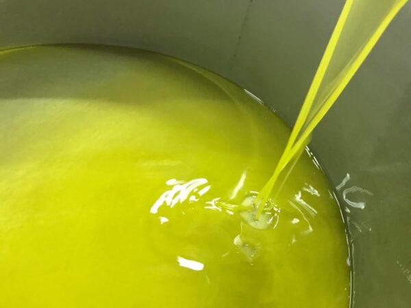 イタリアシチリア産La Sicilia レヴァンテ エクストラバージンオリーブオイル 250ml - 画像 (3)