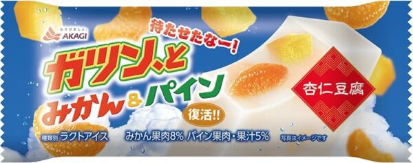 赤城乳業 ガツン、と みかん&パイン杏仁豆腐90ml×24袋