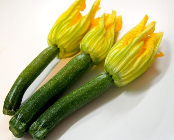 国産花ズッキーニ、3本セット、新鮮野菜