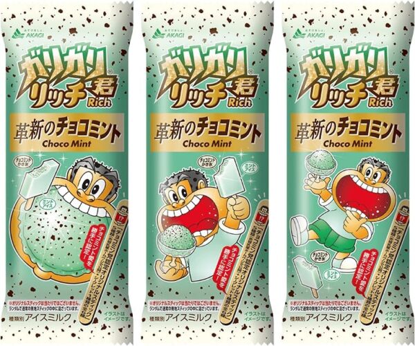 赤城乳業 ガリガリ君リッチ 革新のチョコミント 100ml×24袋