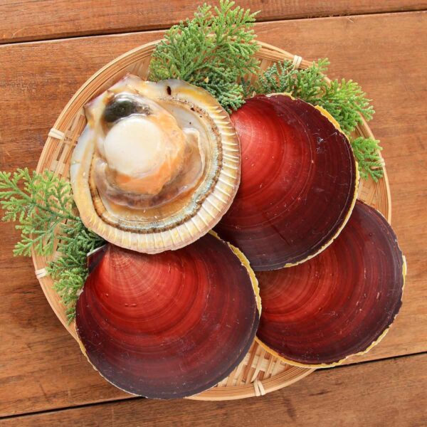 冷凍月日貝 IQF 鹿児島県産、1kg - 画像 (2)